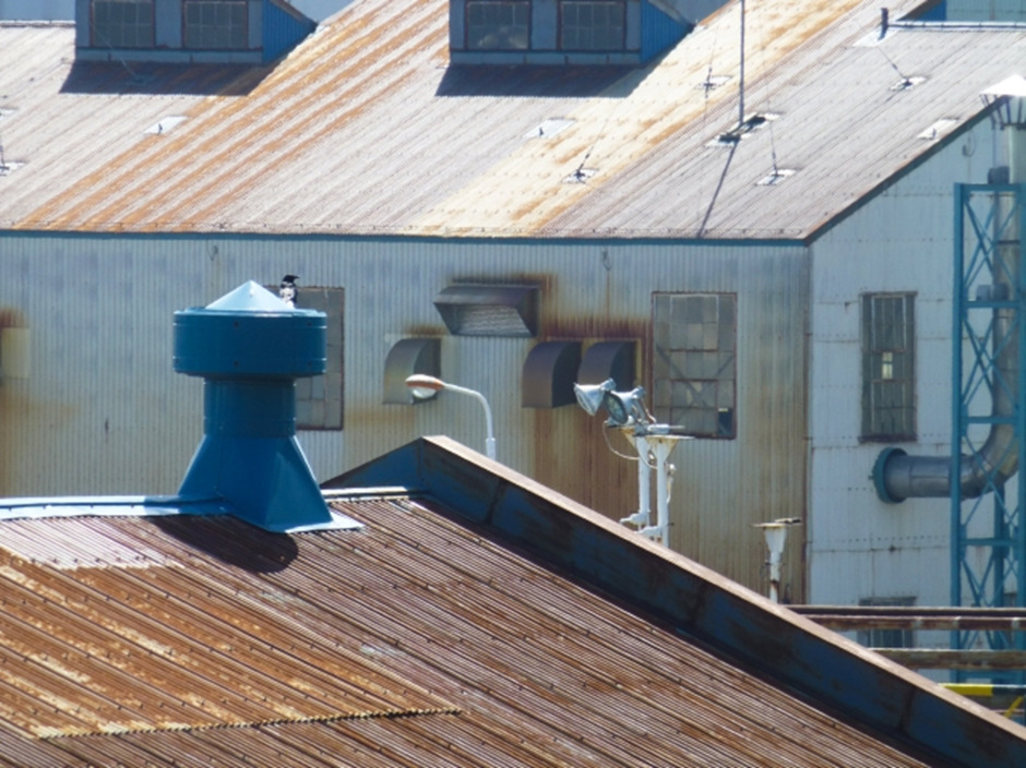 工場や倉庫で使われている屋根の種類
